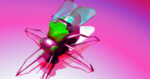 DARPA Going Hard on Insect-Sized Spy Robots