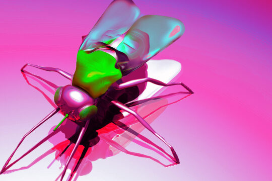 DARPA Going Hard on Insect-Sized Spy Robots