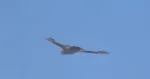 New Chinese GJ-X Stealth drone expands persistent surveillance across the Pacifi
