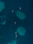 Fincantieri unveils “DEEP”- Its first integrated underwater drone system