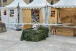 French Army Shows Off Next-Gen