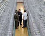 N.Korea vows never to give up nuclear