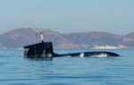 Navantia hosts naming ceremony for S-82 ‘Narciso Monturiol’ submarine